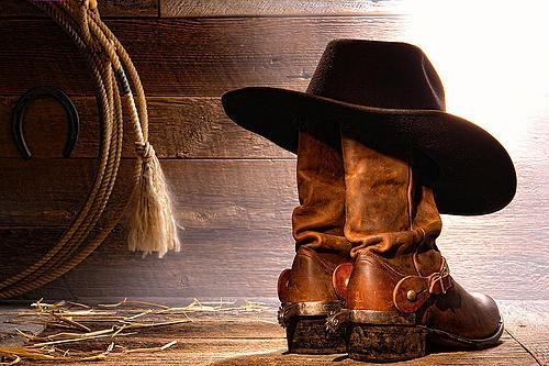 botte de cowboy pour garcon